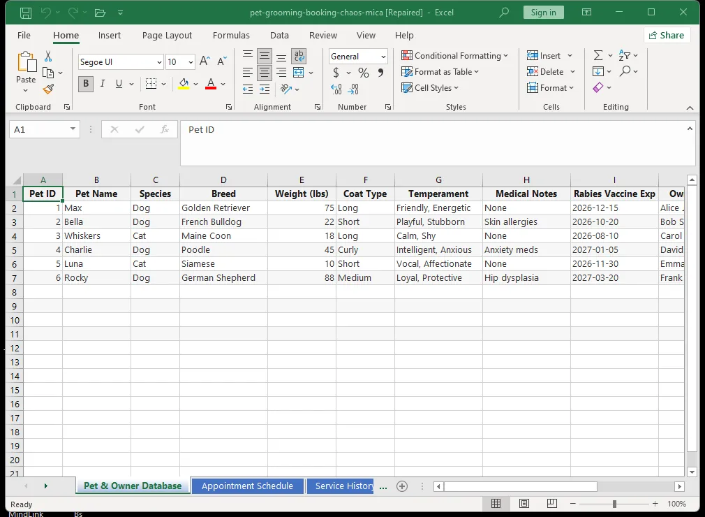 Dog groomer's daily appointment schedule in Excel showing 30-minute time slots, client names, pet breeds, and service types with color coding